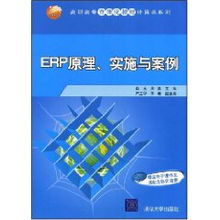 ERP系統原理、實施與網絡技術應用——以肖玉案例為視角